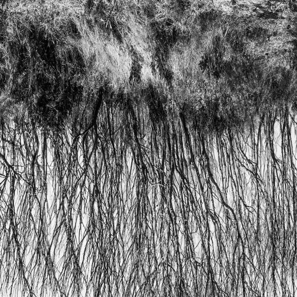 Photograph Jose Conceptes Horror on One Eyeland